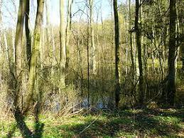 Park Krajobrazowy Promno